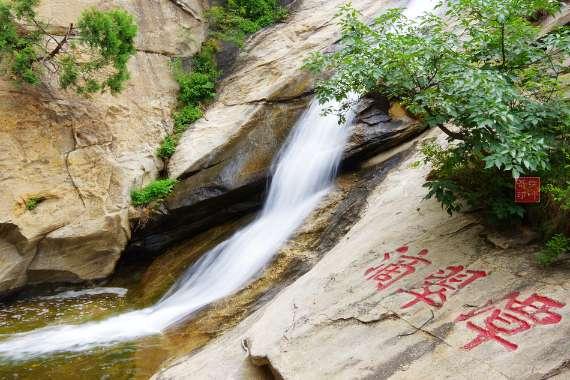 东京迷城